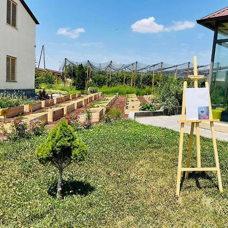 Green Training Center Dzoraghpʼyur Exteriör bild