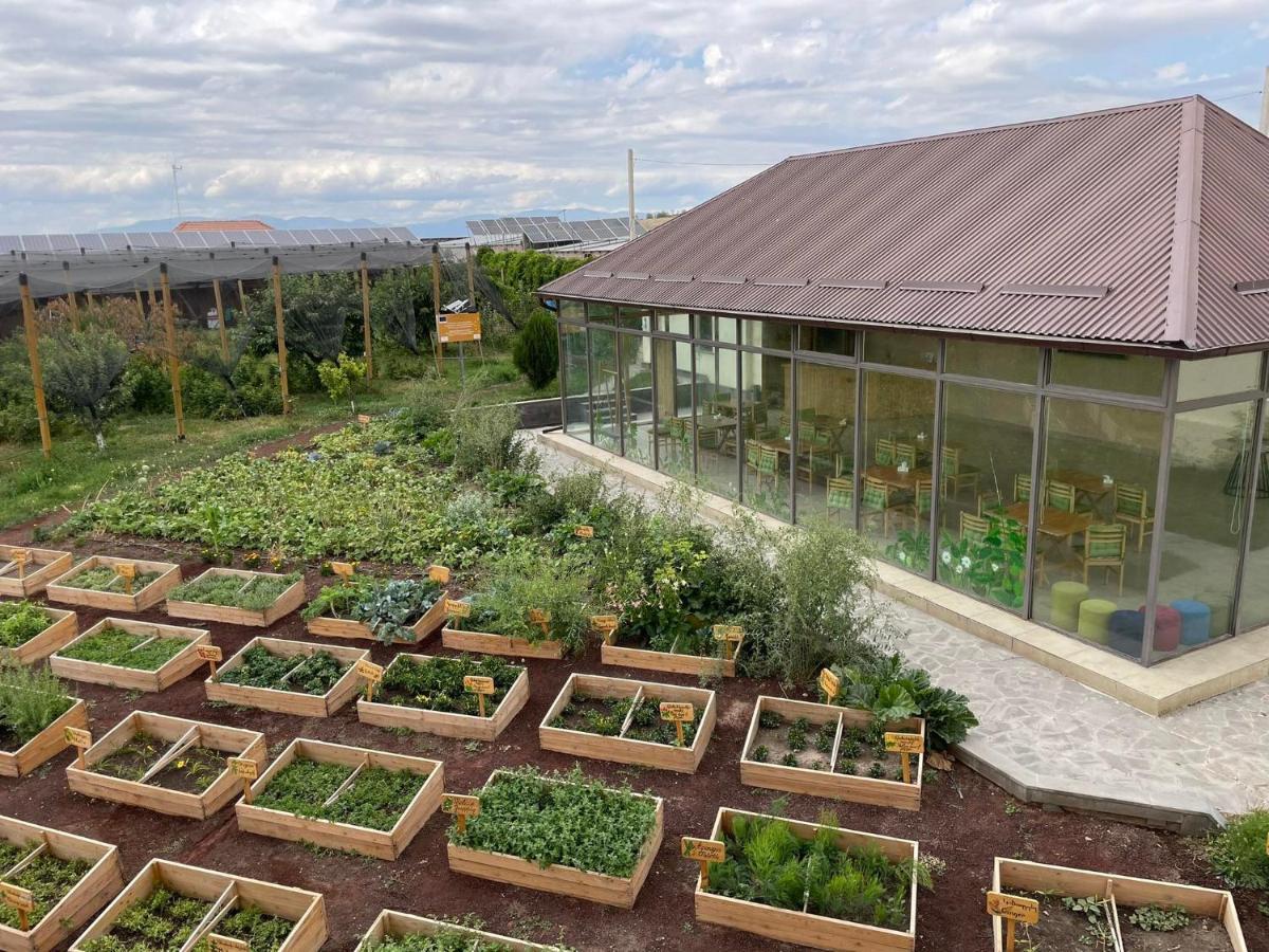 Green Training Center Dzoraghpʼyur Exteriör bild